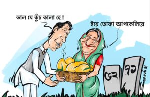 হাসিনার হাইব্রিড শাসন: স্বৈরাচার, গণতন্ত্রের মুখোশ এবং উন্নয়নের মূলা